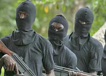 Farmer Shot Dead, 50 Cows Stolen in Attack on Plateau State Community