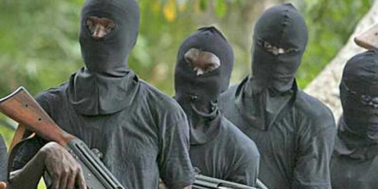 Farmer Shot Dead, 50 Cows Stolen in Attack on Plateau State Community Gunmen