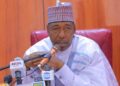 Governor Zulum