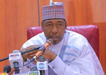 Governor Zulum