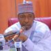 Governor Zulum