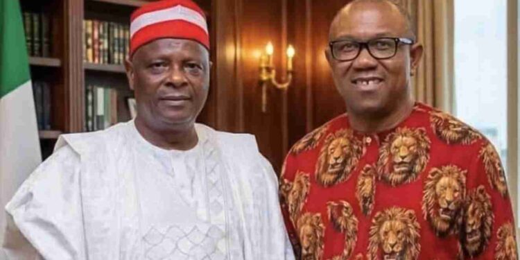 Peter Obi and Kwankwaso