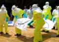 WHO Sounds Alarm Over Spreading Ebola Outbreak and Bed Shortages WHO