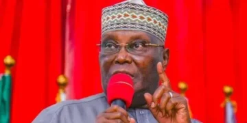 Auto Draft