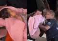 Newborn
