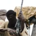 Bandits Abduct Several Farmers in Fresh Attacks in Kebbi State Bandits