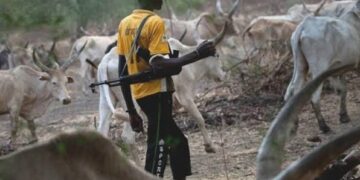 Herdsmen