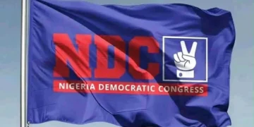 Thugs Attack NDC Meeting