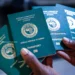 Nigerians Can Now Travel to 44 Countries Visa-Free or On Arrival Nigerian