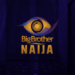 Big Brother Split Season 11 Housemates Into Male, Female Teams Big Brother