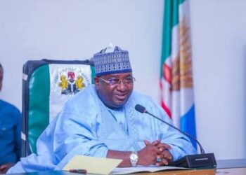 Governor