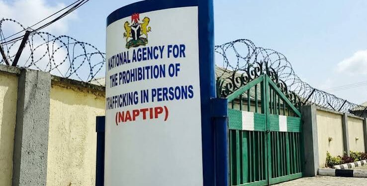 NAPTIP Busts Trafficking Ring Disguised as School Enrollment Scheme Trafficking