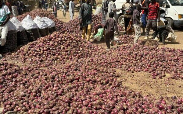 Nigeria-Ghana Onion Trade Dispute Resurfaces Nigeria