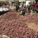 Nigeria-Ghana Onion Trade Dispute Resurfaces Nigeria