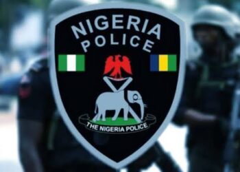 Police Recover Baby Snatched by Impostor Posing as Nurse Police