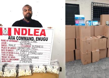 NDLEA Nabs Italy-Based Businessman at Enugu Airport
