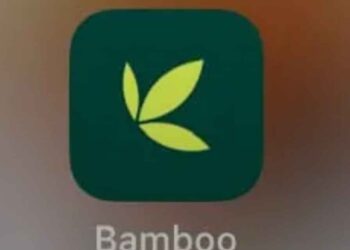 Investment Platform Bamboo Crashes Bamboo