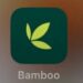 Investment Platform Bamboo Crashes Bamboo